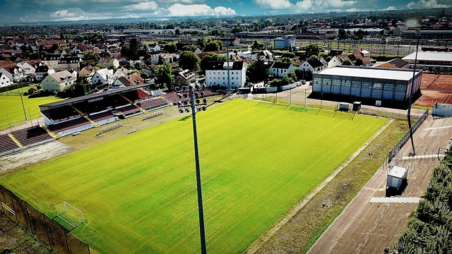 的競爭力 的競爭力